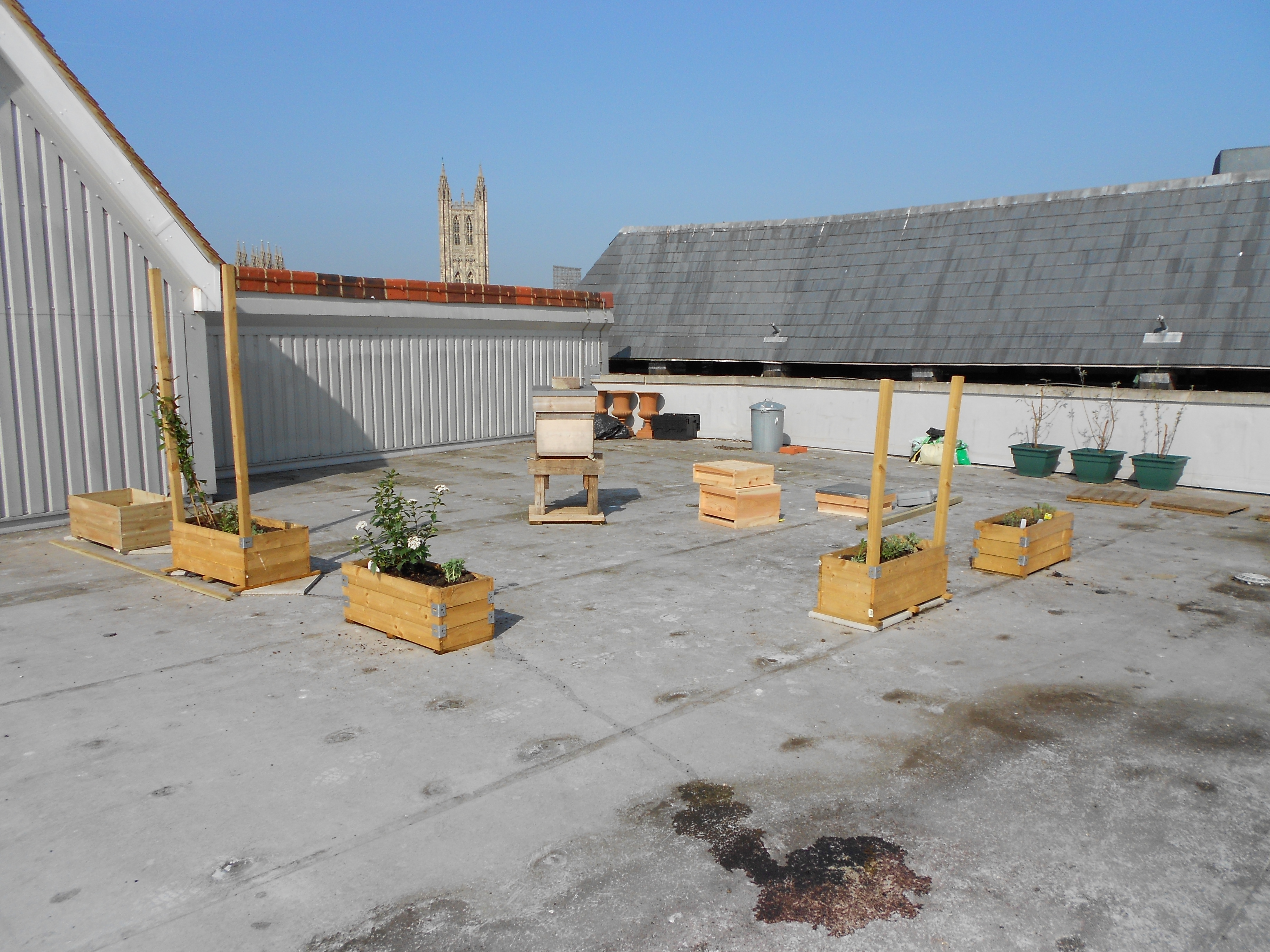 Photo Apiary March 29 2012 002