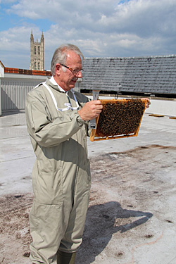 Photo Julian Audsley with the bees on the roof of Whitefriars