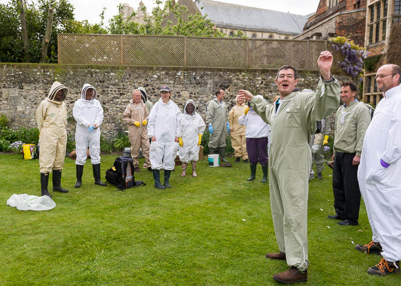 Photo 20130608_bees_0064