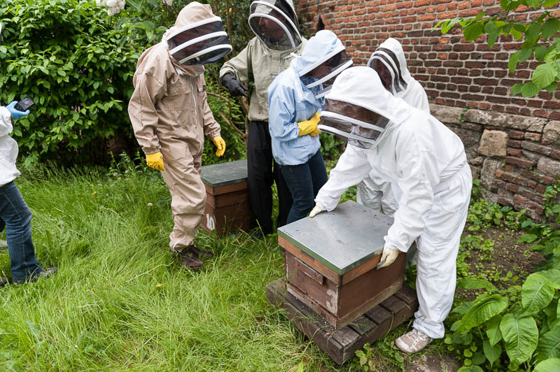 Photo 20130608_bees_0069