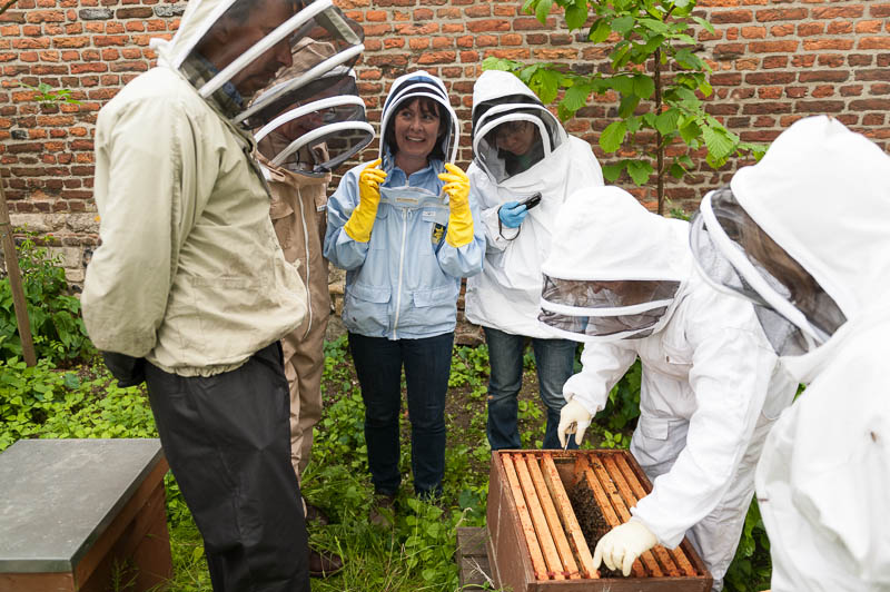 Photo 20130608_bees_0127