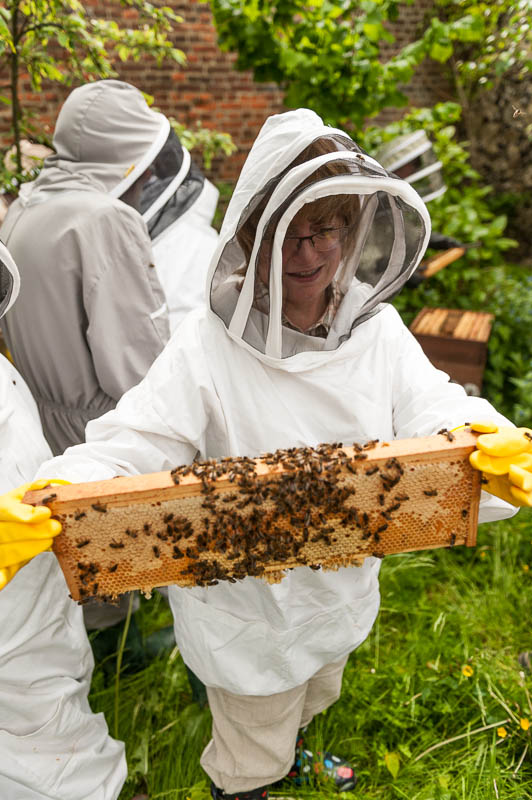 Photo 20130608_bees_0161