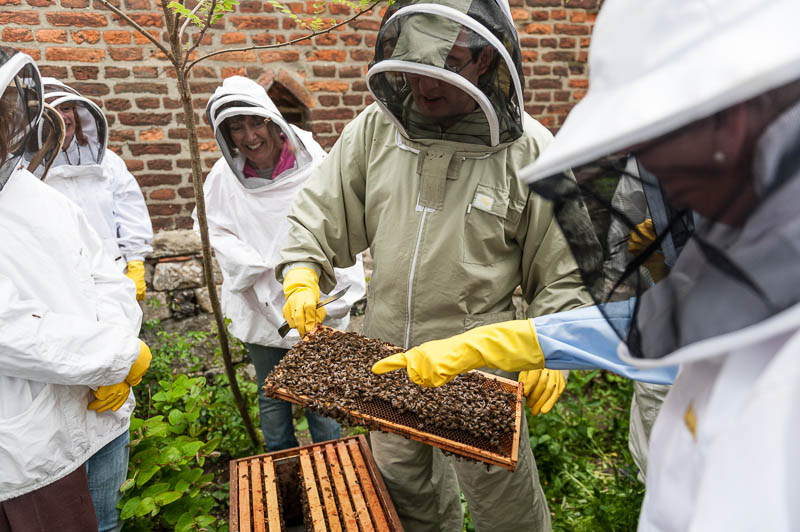 Photo 20130608_bees_0255