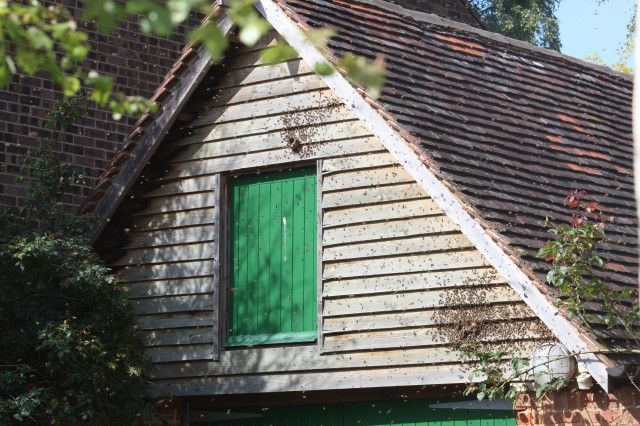 Photo IMG_1910