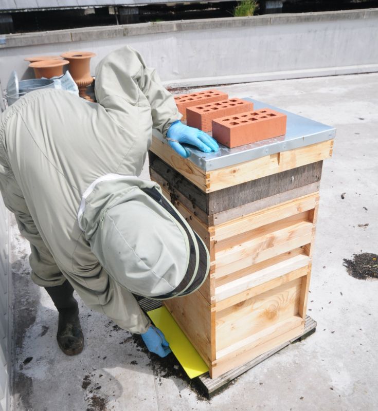 Photo Inserting a clean board for mite count