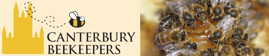 Canterbury Beekeepers